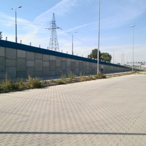 IMAG2481