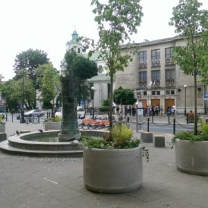 IMAG1961