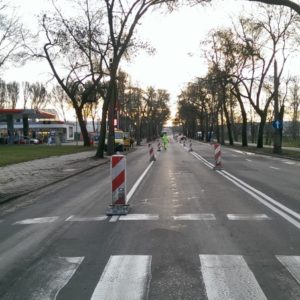 IMAG2981