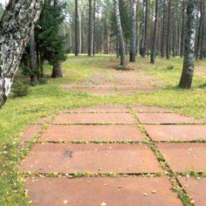 Polski Cmentarz Wojenny w Katyniu – zarys masowych mogił (2005)