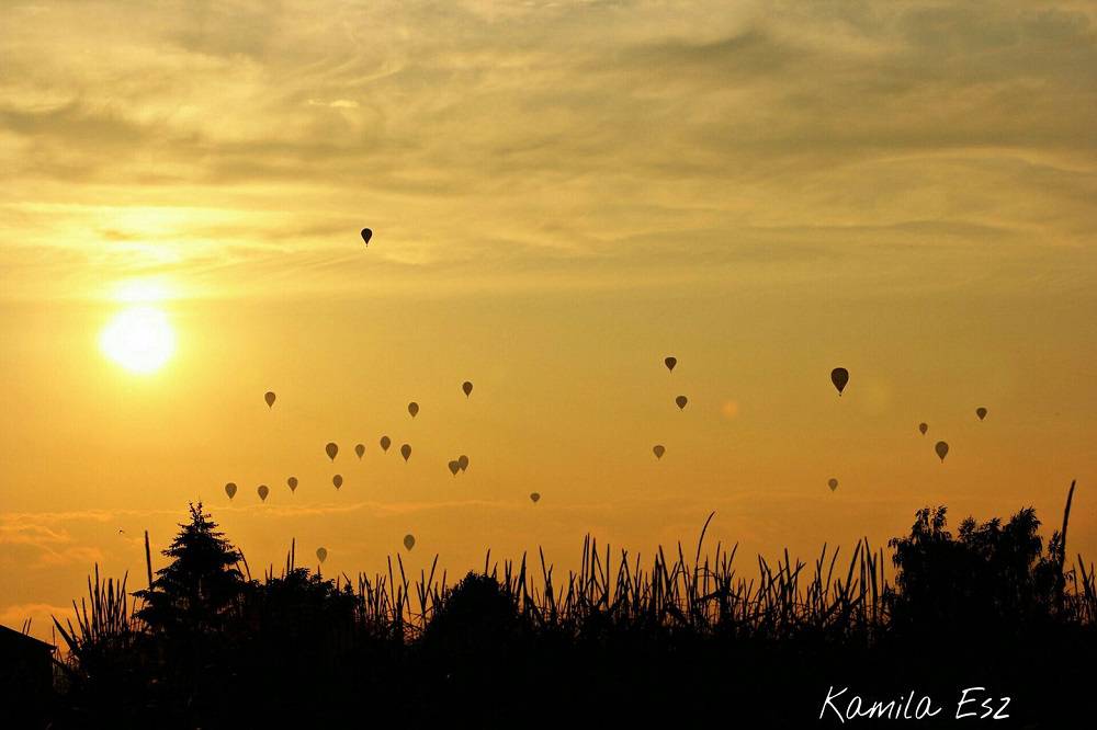 Balony w Nałęczowie 2017. Balony królowały na niebie. Wasze zdjęcia (GALERIA) 1 20786145 1774699915903582 881614131617433635 o