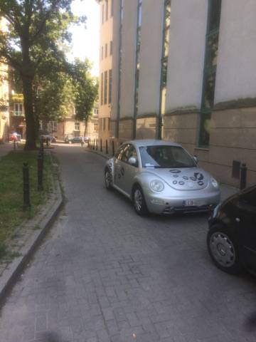 ,,Mistrzowie” parkowania. Sierpniowe zestawienie 5 6