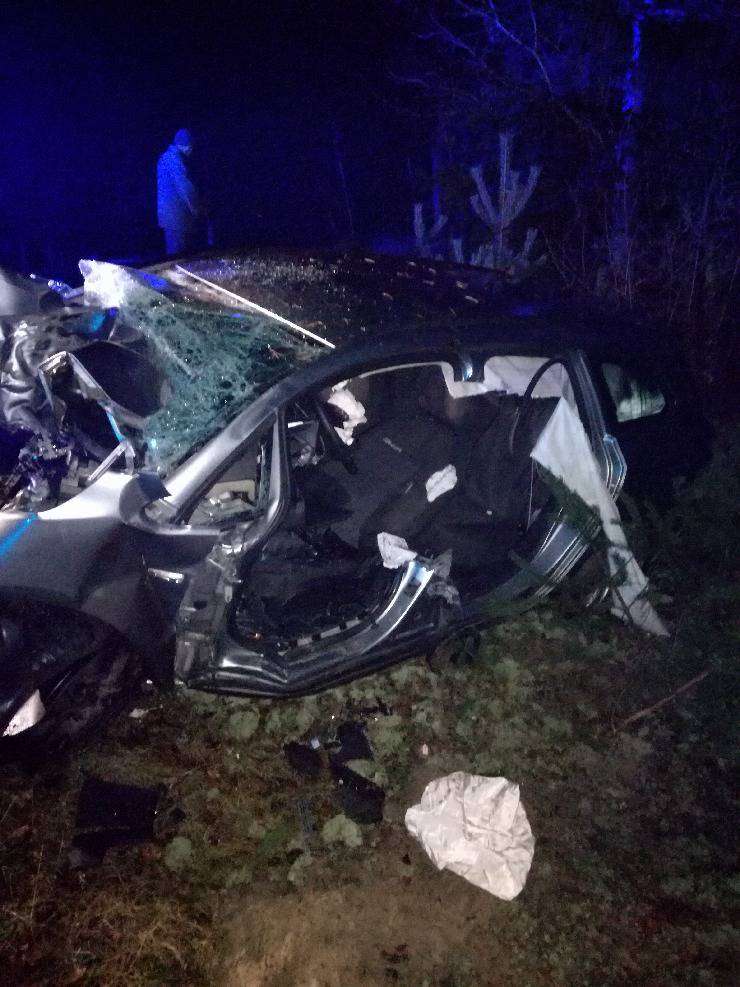 Śmiertelny wypadek w Nadziei. 19-letni kierowca wjechał w drzewo. Nie żyje (zdjęcia) 1 1070352248