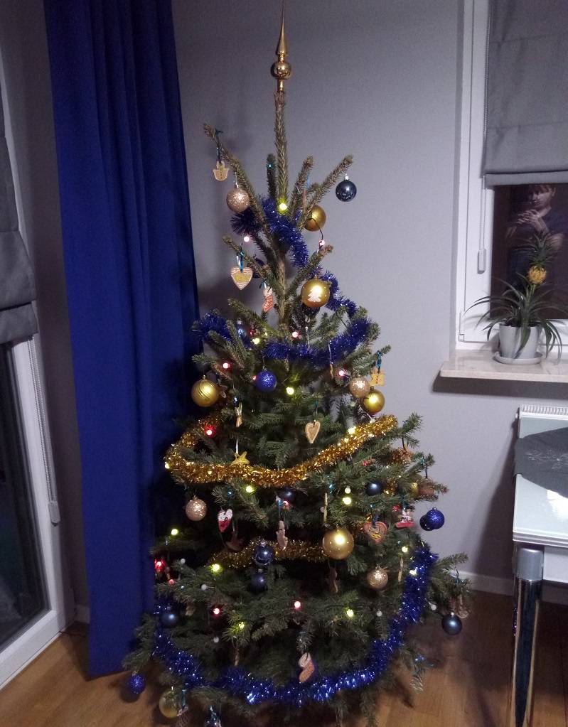 Sztuczna czy może prosto z lasu? Pokaż nam swoją choinkę i prześlij jej zdjęcie! 2 IMAG0673 2