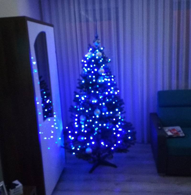 Sztuczna czy może prosto z lasu? Pokaż nam swoją choinkę i prześlij jej zdjęcie! 1 IMG 20171226 221736