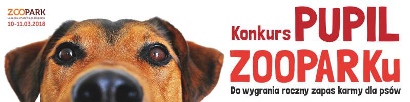 zoo18 banner 800x200 pupil zooparku
