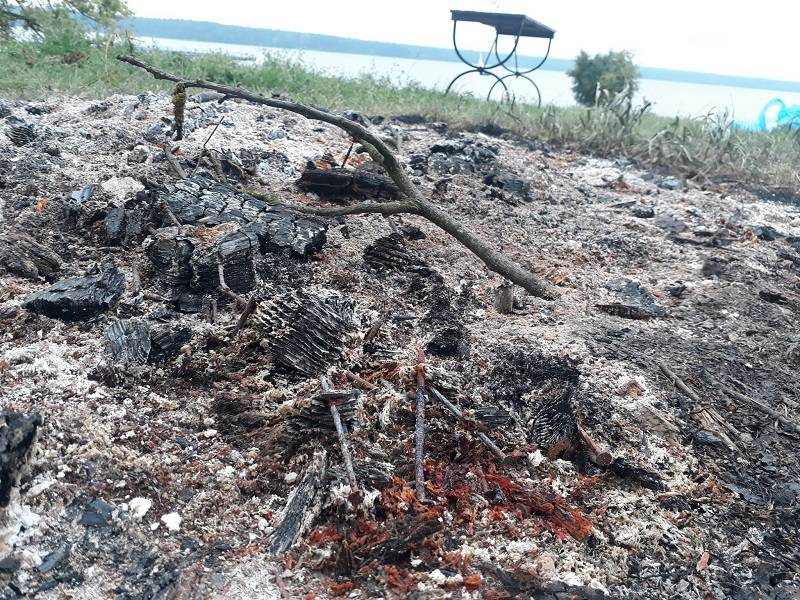 Ukradli meble sprzed siedziby Yacht Clubu. Po zakończonej imprezie je podpalili 4 40065059 10156104912762098 6441553721036898304 o