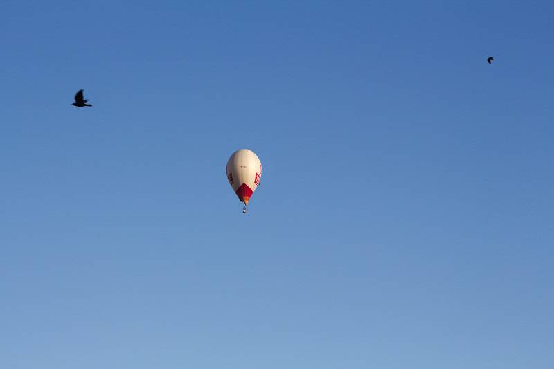 Niebo pełne balonów! Trwają 3. Balonowe Mistrzostwa Świata Kobiet w Nałęczowie 15 IMG 1410