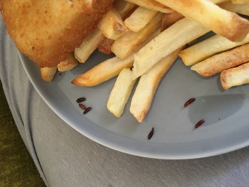 Kupiła w sklepie frytki, robaki dostała gratis 1 image1