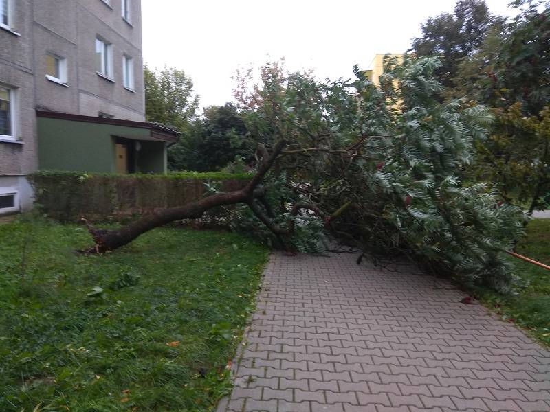 Trwa usuwanie skutków wichury nad woj. lubelskim. Problemy z numerem 991, bez prądu tysiące odbiorców 2 42432215 748325355513684 3032167789088473088 n
