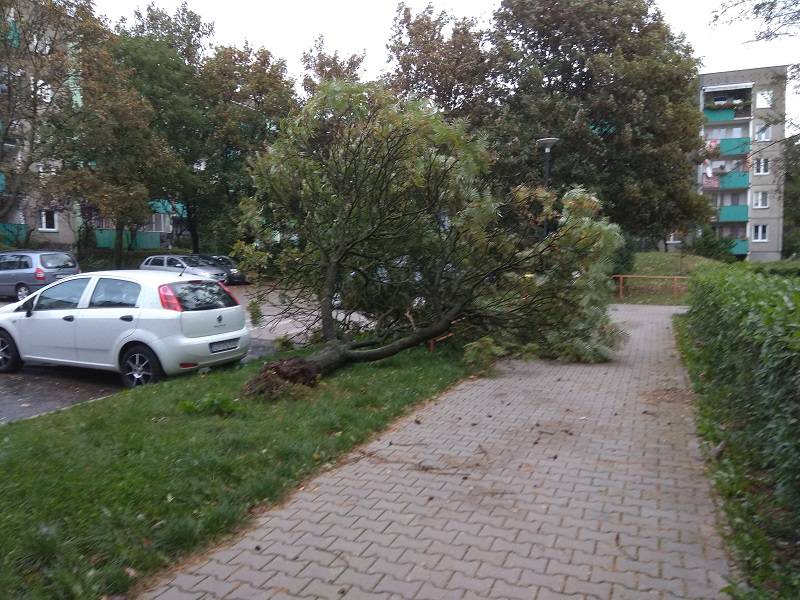 Trwa usuwanie skutków wichury nad woj. lubelskim. Problemy z numerem 991, bez prądu tysiące odbiorców 1 42449898 2113059682340814 8539114683527856128 n