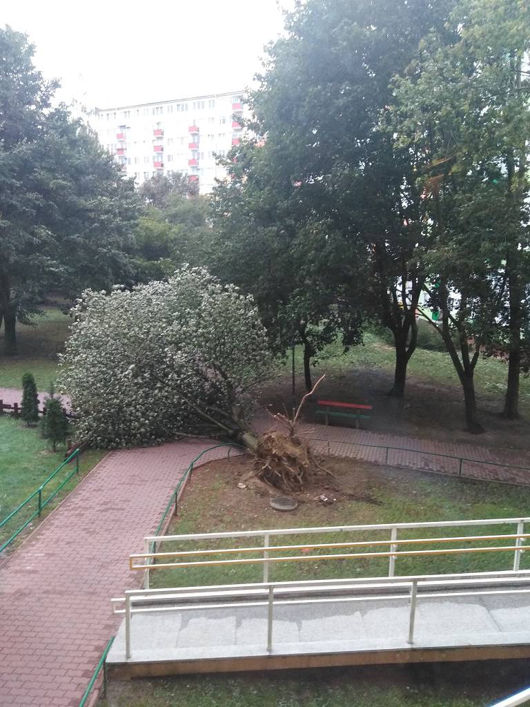 Trwa usuwanie skutków wichury nad woj. lubelskim. Problemy z numerem 991, bez prądu tysiące odbiorców 3 42503659 1909471845809088 1950275899572092928 n