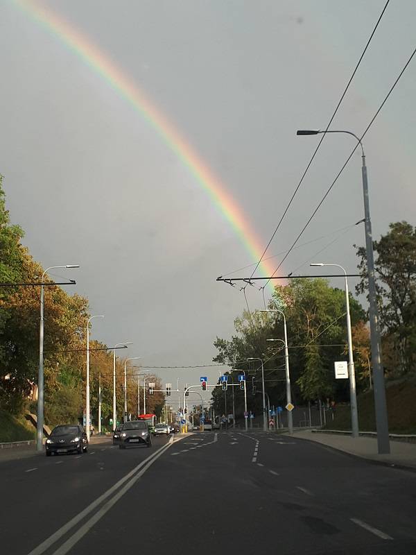 tęcza marta