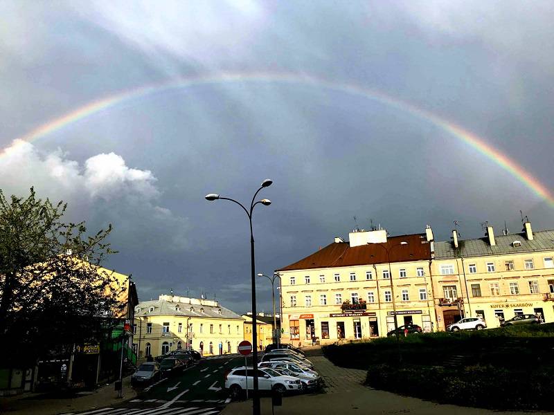 tęcza paulina