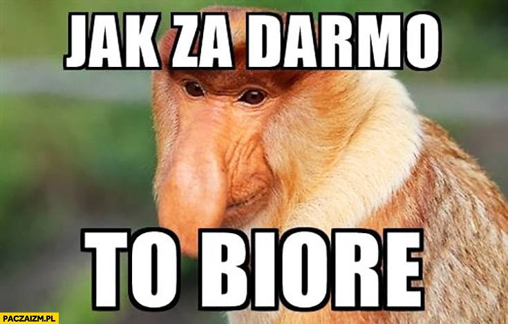 Rozdawali darmowe jabłka w Lublinie. Ludzie wynosili je siatkami 1 jak za darmo to biore typowy polak nosacz malpa