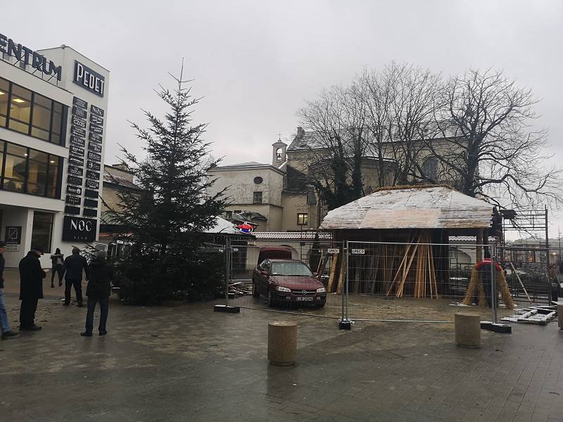 Na deptaku stanęła żywa choinka. To prezent od leśników dla lublinian 3 47574308 303897423574820 48850889305227264 n