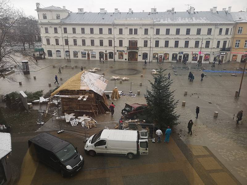Na deptaku stanęła żywa choinka. To prezent od leśników dla lublinian 4 48194672 316816375601973 1802240948248248320 n