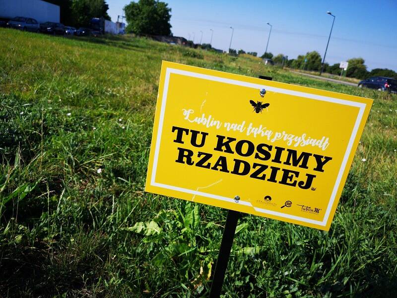 Miasto przekaże mieszkańcom hotele dla pszczół. Weź udział w konkursie i wygraj hotel dla owadów z okazji Wielkiego Dnia Pszczół 1 IMG 20190731 082747