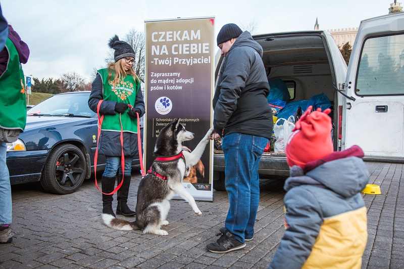 Rekordowa suma na koncie WOŚP 2020! Ile pieniędzy zebrano w Lublinie? 29 GERHAND WOŚP 2020 31
