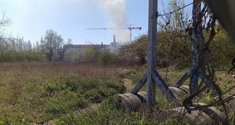 Pożar traw na nieużytku w centrum Lublina. Podpalacz ujęty na gorącym uczynku 1 20200418 122921
