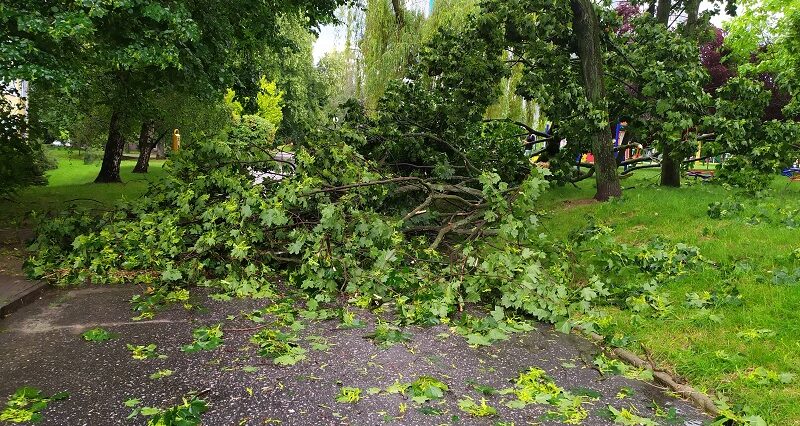 Powalone drzewa, zalania i zerwane linie energetyczne. Blisko 250 interwencji strażaków w woj. lubelskim 1 75233423 320770118935678 5820736009974839442 n