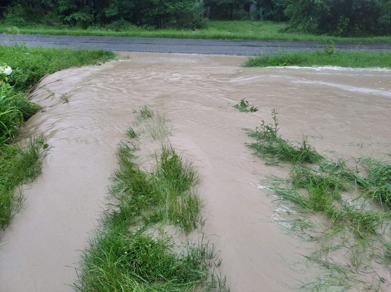 Powalone drzewa, zalania i zerwane linie energetyczne. Blisko 250 interwencji strażaków w woj. lubelskim 5 inbound3699271920666752687