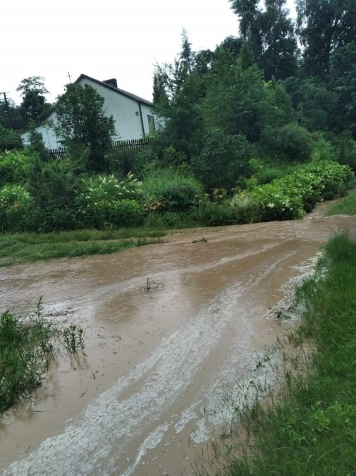 Powalone drzewa, zalania i zerwane linie energetyczne. Blisko 250 interwencji strażaków w woj. lubelskim 7 inbound541862306371454485