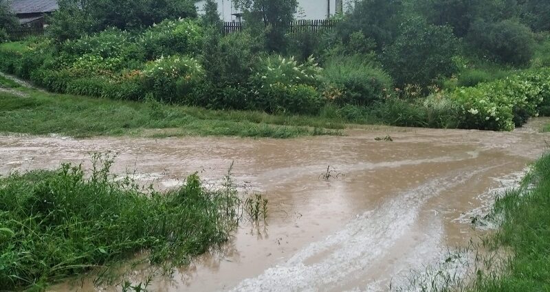 Powalone drzewa, zalania i zerwane linie energetyczne. Blisko 250 interwencji strażaków w woj. lubelskim 4 inbound5640245252790069023