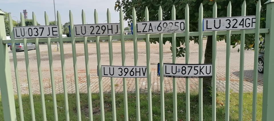 117968129 625058625053194 4377203939105897914 n