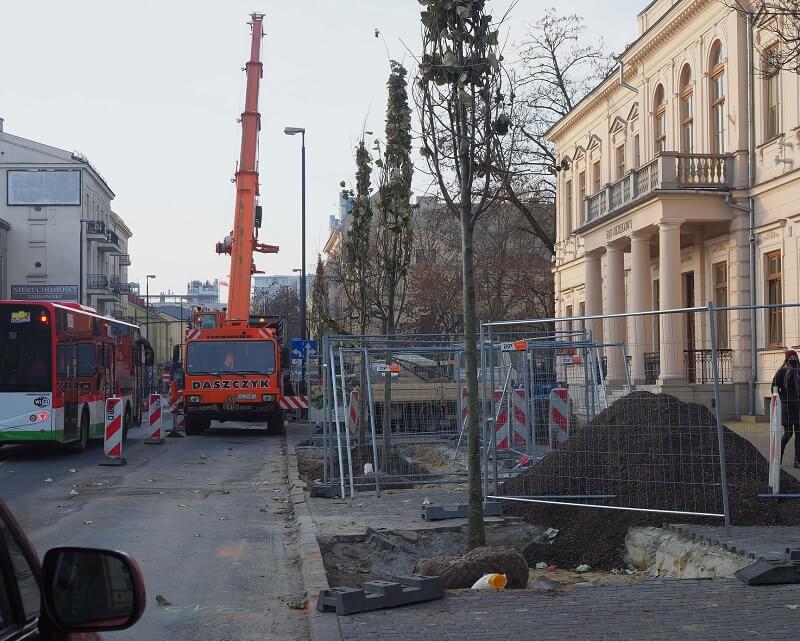 W miejscu parkingu pojawiły się drzewa. Będą tu też rabaty z krzewów ozdobnych 4 129517311 3694069010655610 1276566896985788447 o
