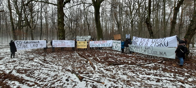 Zorganizowali spacer po Starym Gaju. Wycinki drzew wzbudziły sprzeciw mieszkańców Lublina 4 Aktywiści Extinction Rebellion Lublin (XR) domagają się zaprzestania wycinki drzew w Starym Gaju