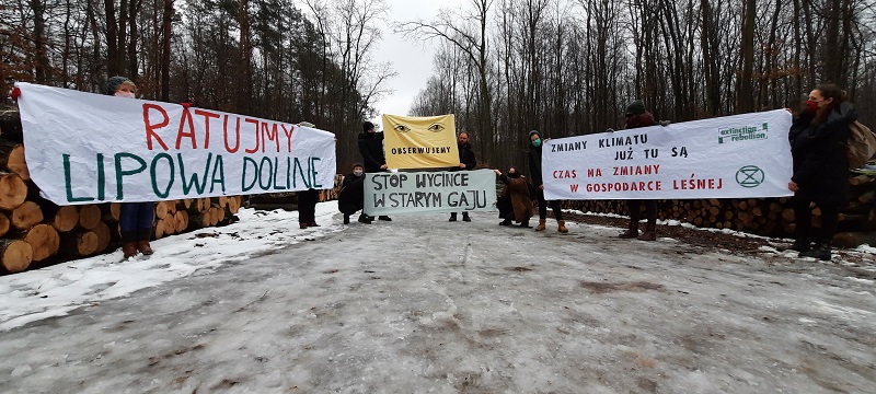 Zorganizowali spacer po Starym Gaju. Wycinki drzew wzbudziły sprzeciw mieszkańców Lublina 3 Aktywiści Extinction Rebellion Lublin (XR) domagają się zaprzestania wycinki drzew w Starym Gaju