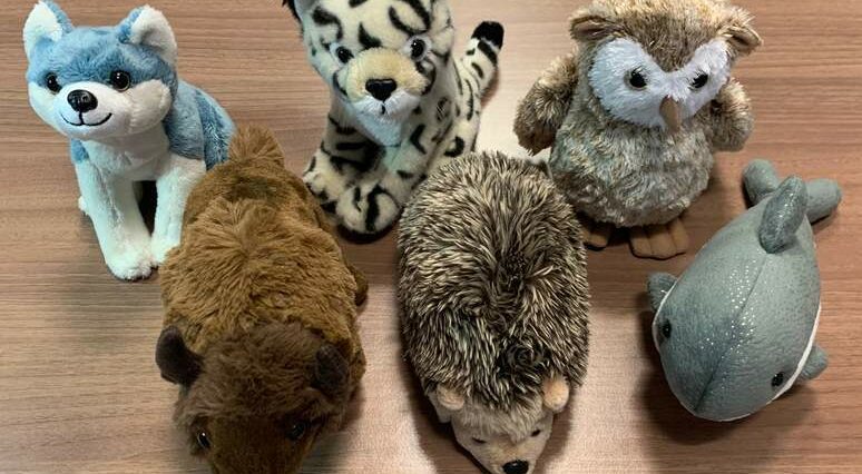 Gang Swojaków w Biedronce. Wiemy, jak wyglądają i nazywają się nowe maskotki 3 Maskotki Zagrożone Swojaki: Żubr, Sóweczka, Wilk, Morświn, Jeż i Ryś