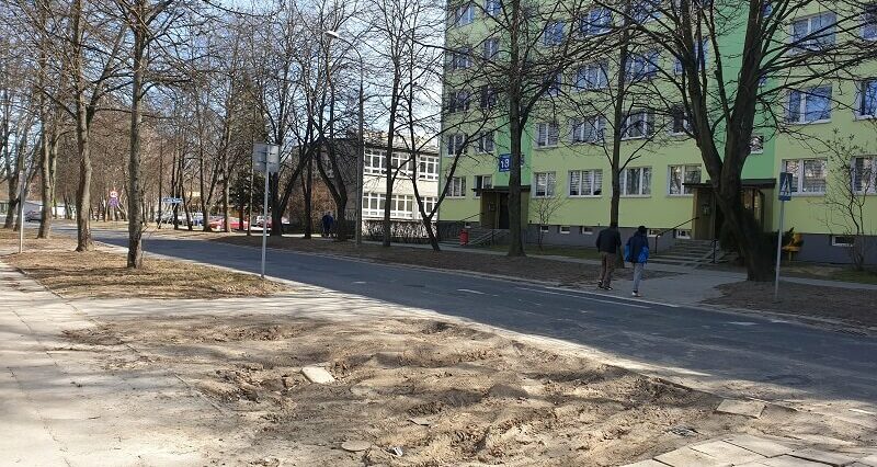 Pacjenci zrobili sobie dziki parking przed szpitalem. Mieszkańcy przekopali klepisko i posadzili drzewa 1 Dziki parking przed szpitalem został zamieniony w zieleniec