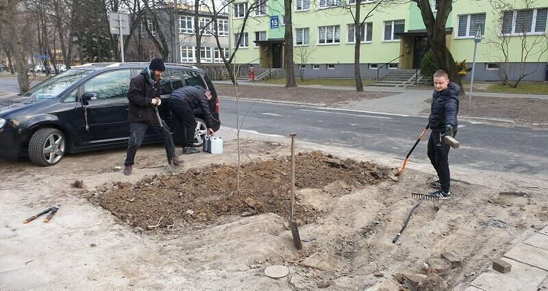 Pacjenci zrobili sobie dziki parking przed szpitalem. Mieszkańcy przekopali klepisko i posadzili drzewa 3 Dziki parking przed szpitalem został zamieniony w zieleniec