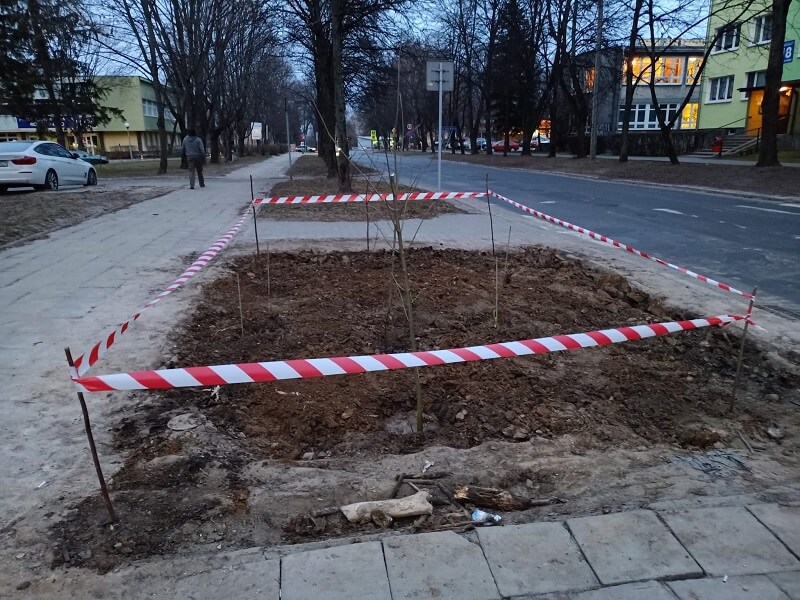 Pacjenci zrobili sobie dziki parking przed szpitalem. Mieszkańcy przekopali klepisko i posadzili drzewa 5 Dziki parking przed szpitalem został zamieniony w zieleniec