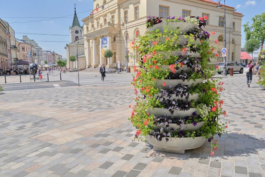 Królują pelargonie i czarne wilce. W centrum Lublina trwa letnia wymiana kwiatów 2 Nowe kwiaty w donicach w centrum Lublina