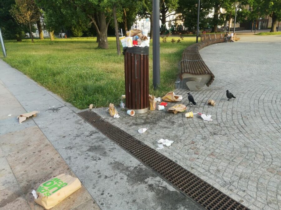 Kipiące śmietniki na placu Litewskim. Ratusz zleca dodatkowe opróżnianie koszy w ciągu tygodnia 3 kawki grzebiace w smieciach na placu litewskim