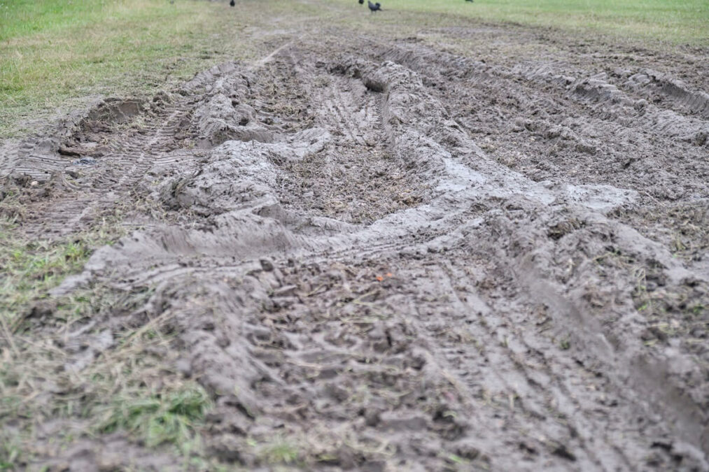 Błonia pod Zamkiem rozjeżdżone po wojskowym pikniku 1 Błonia pod Zamkiem po pikniku wojskowym