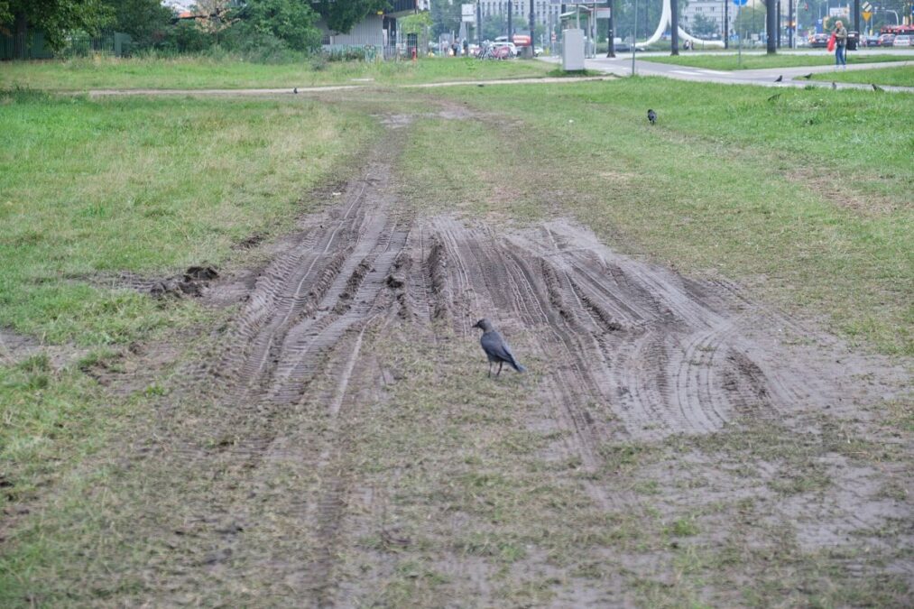 Błonia pod Zamkiem rozjeżdżone po wojskowym pikniku 3 Błonia pod Zamkiem po pikniku wojskowym