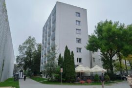 DSCF4753