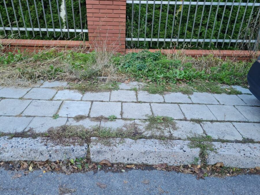 Zapomniane chodniki? Już prawie ich nie widać 4 Zarośnięte chodniki na ul. Dzieci Zamojszczyzny