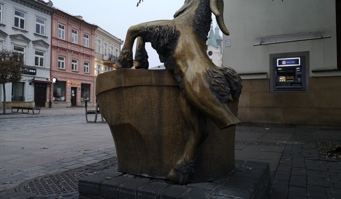 Koziołek zniknął z deptaka. Kilka dni wcześniej wjechał w niego młody kierowca, uszkadzając jego nogę 2 poidełko koziołek z uszkodzoną nogą