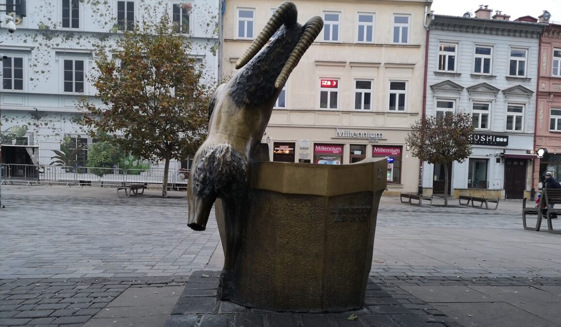 Koziołek zniknął z deptaka. Kilka dni wcześniej wjechał w niego młody kierowca, uszkadzając jego nogę 3 uszkodzona noga koziołka z deptaka