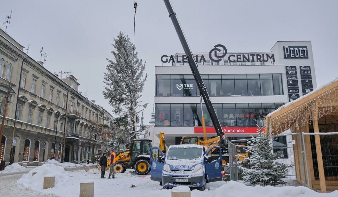 Szopka Bożonarodzeniowa stanęła w centrum Lublina. Wkrótce rozpocznie się kolędowanie 1 Choinka przy Szopce Bożonarodzeniowej z połamanymi gałęziami
