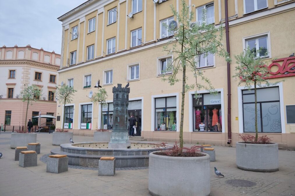 Nowa zieleń w centrum Lublina. Grusze na pl. Wolności, pnącza na Starym Mieście, rabata na placu Po Farze 1 Grusze na placu Wolności