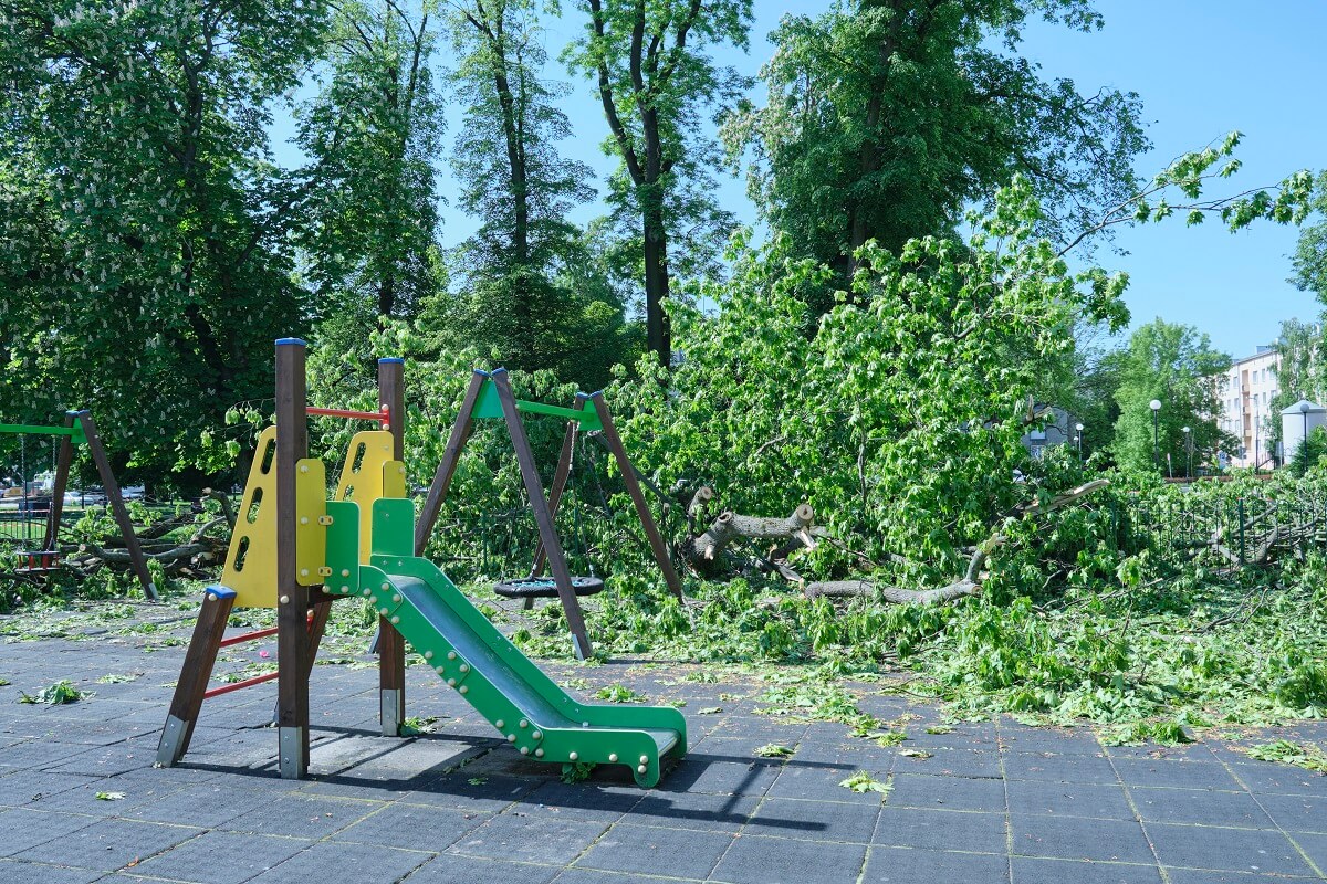 Najpierw było słychać trzaski, a po chwili drzewo runęło na pobliski plac zabaw. Cudem uniknął śmierci! 5 Drzewo spadło na plac zabaw w centrum Lublina