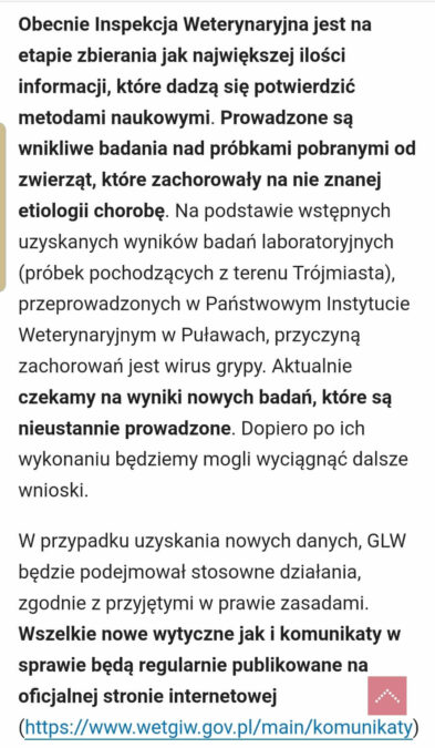 Oswiadczenie 2