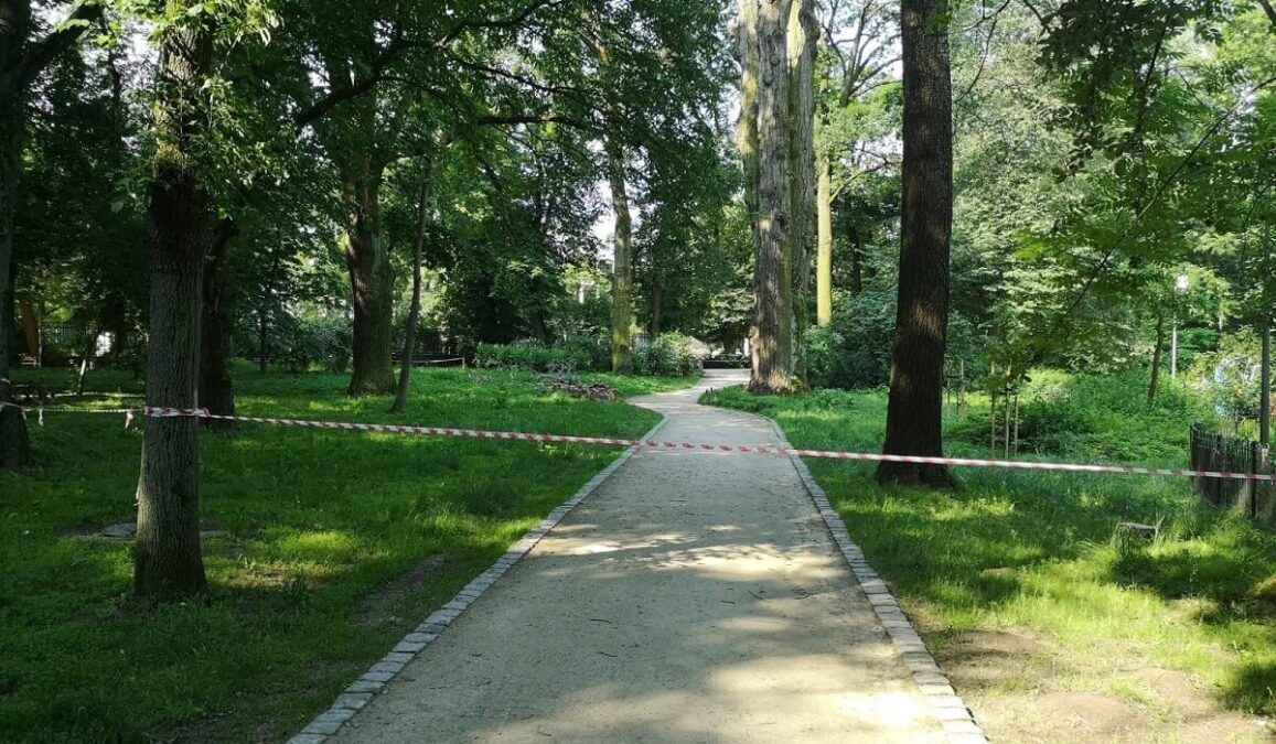Plac zabaw w Ogrodzie Saskim zamknięty dla dzieci. „Młodzież przeskakuje przez ogrodzenie i robi, co chce” 2 Pielęgnacja drzew w Ogrodzie Saskim