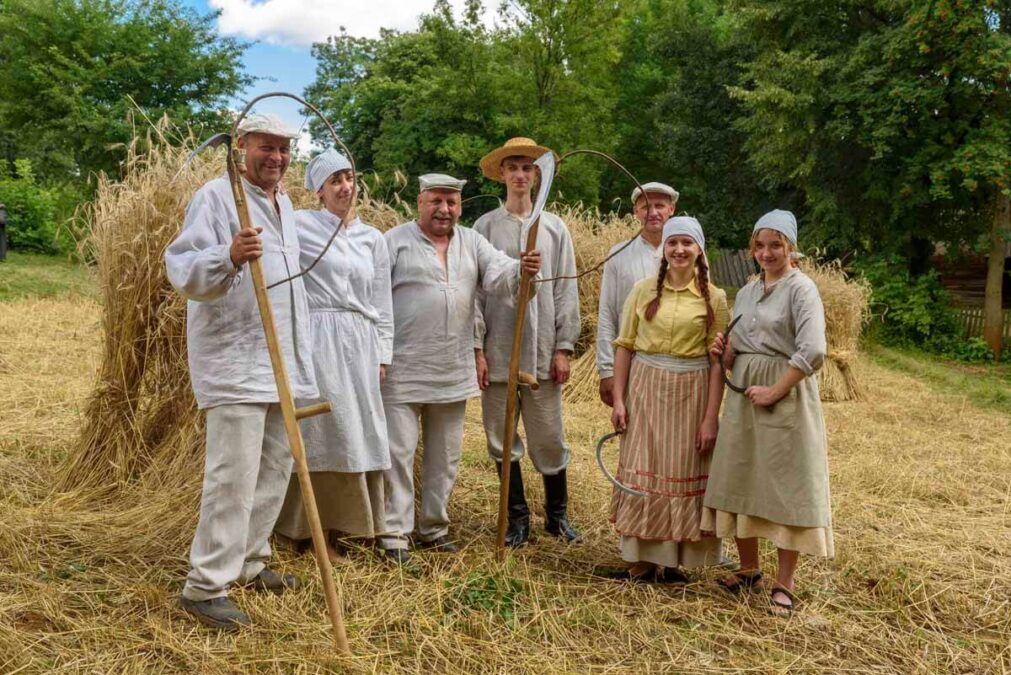 Żniwowanie w lubelskim skansenie. Muzeum Wsi Lubelskiej zaprasza w tę niedzielę! Harmonogram wydarzenia 3 Żniwowanie w Skansenie w Lublinie